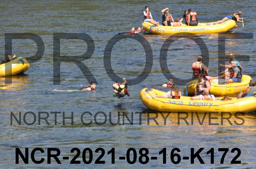 NCR-2021-08-16-K172