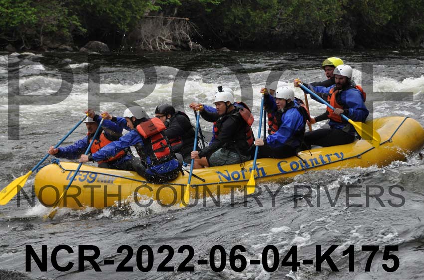 NCR-2022-06-04-K175