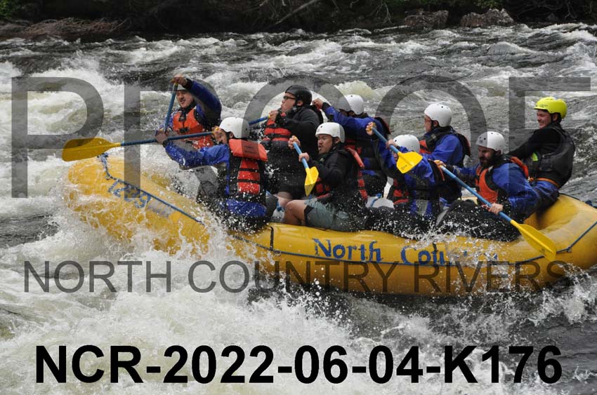 NCR-2022-06-04-K176