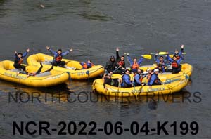 NCR-2022-06-04-K199