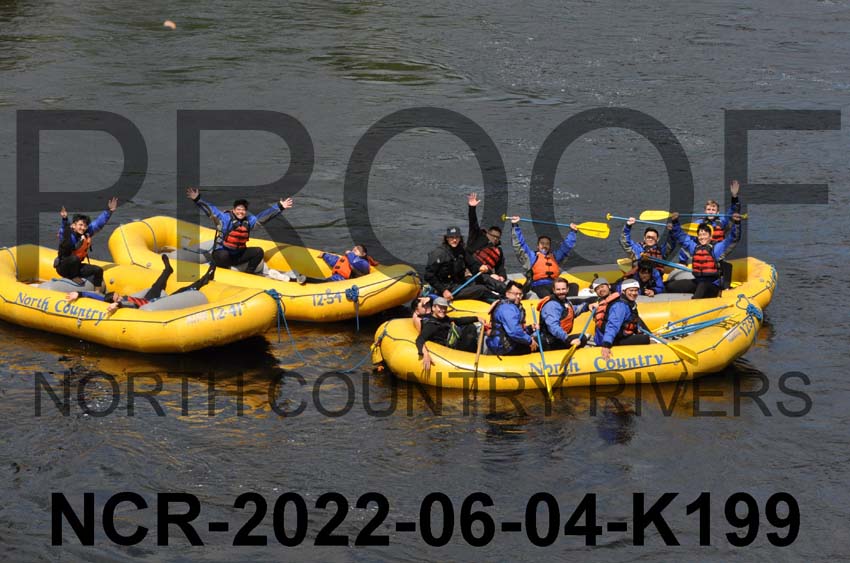 NCR-2022-06-04-K199
