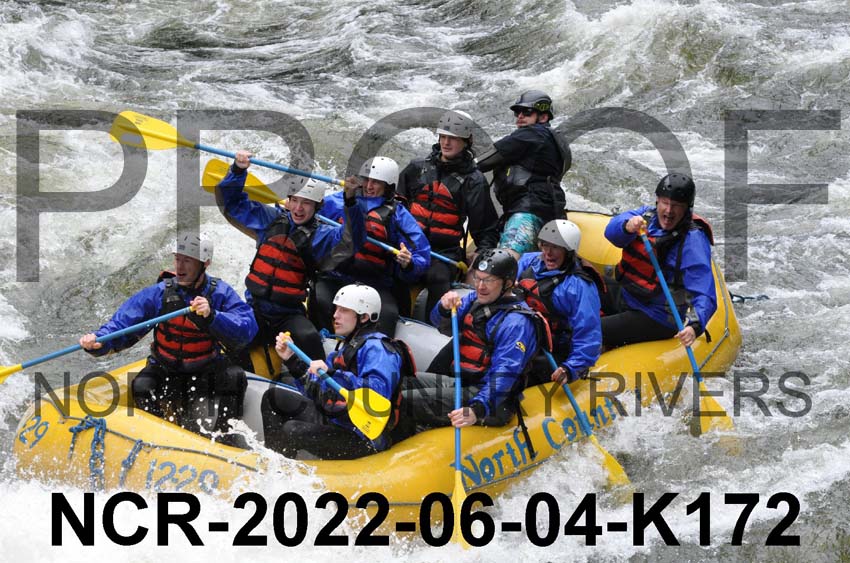 NCR-2022-06-04-K172