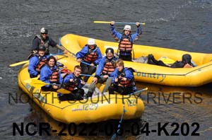 NCR-2022-06-04-K202