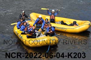 NCR-2022-06-04-K203