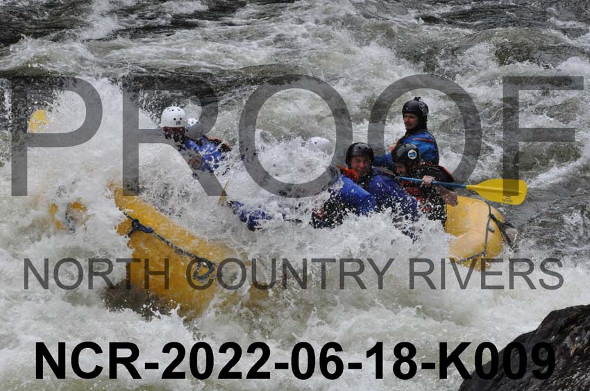 NCR-2022-06-18-K009