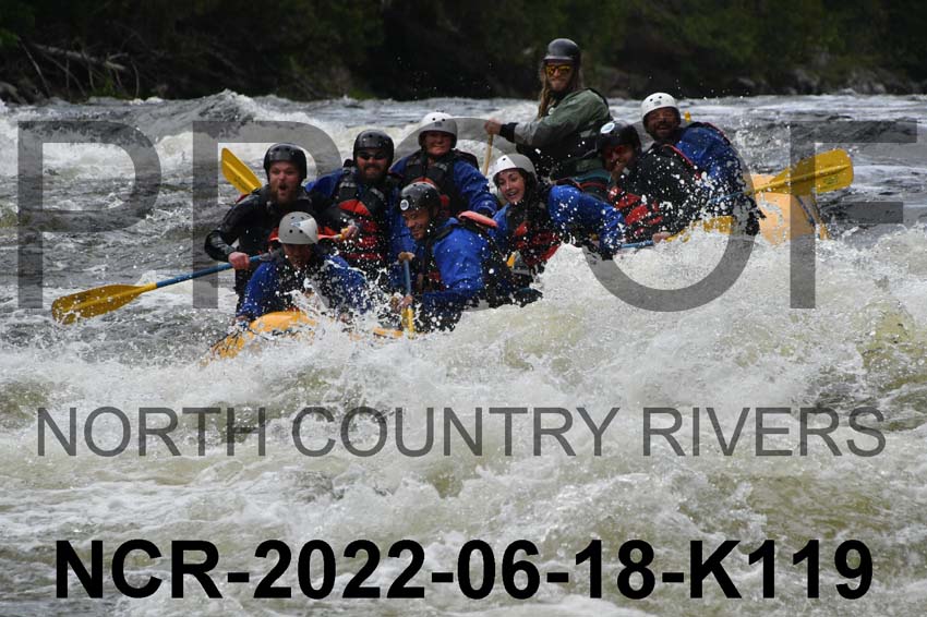 NCR-2022-06-18-K119