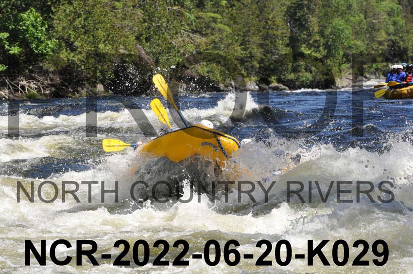 NCR-2022-06-20-K029