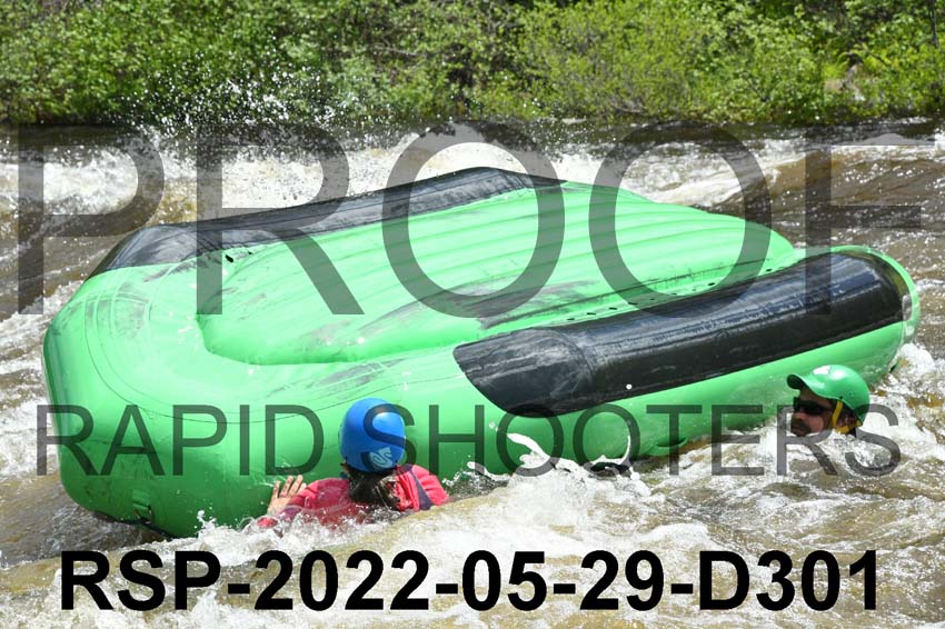 RSP-2022-05-29-D301