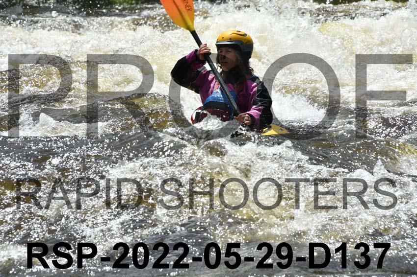 RSP-2022-05-29-D137