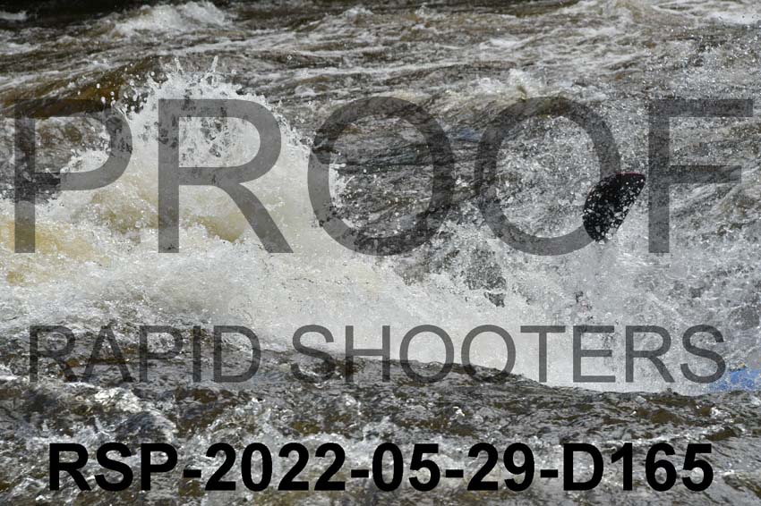 RSP-2022-05-29-D165