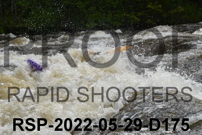 RSP-2022-05-29-D175