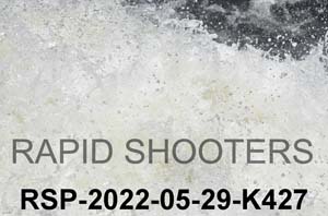 RSP-2022-05-29-K427