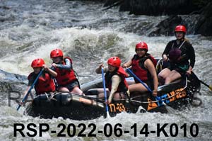 RSP-2022-06-14-K010