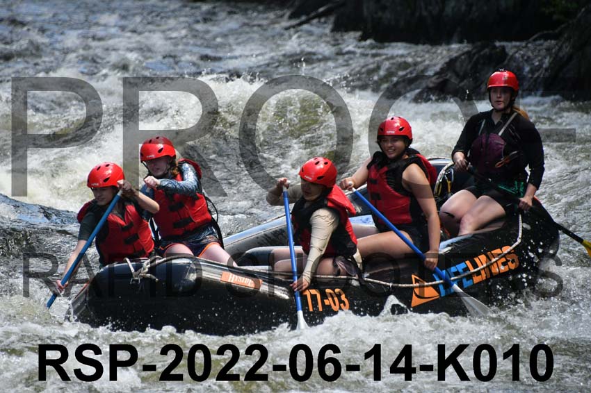 RSP-2022-06-14-K010
