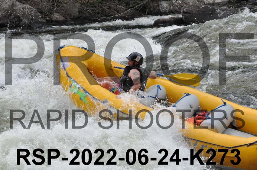 RSP-2022-06-24-K273