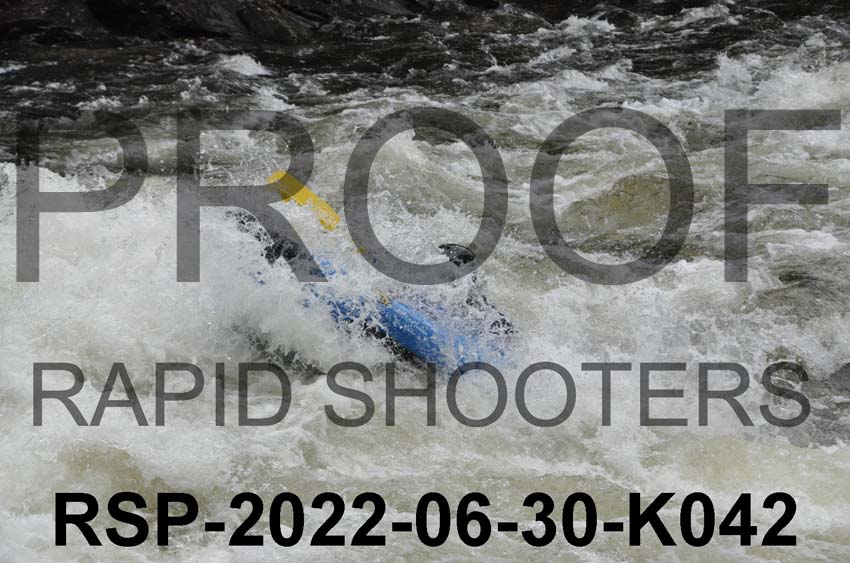 RSP-2022-06-30-K042