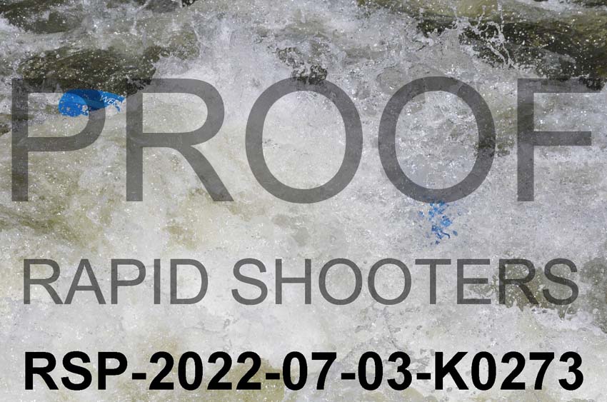 RSP-2022-07-03-K0273