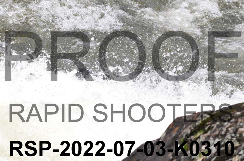 RSP-2022-07-03-K0310