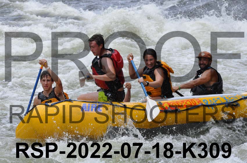 RSP-2022-07-18-K309