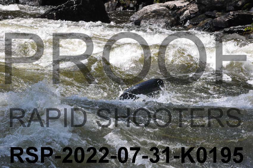 RSP-2022-07-31-K0195