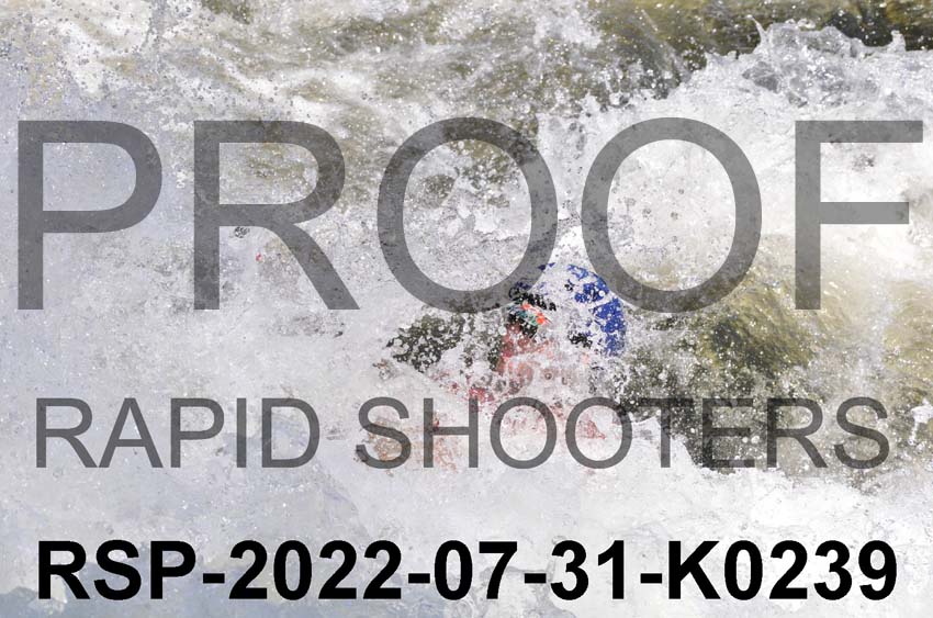 RSP-2022-07-31-K0239