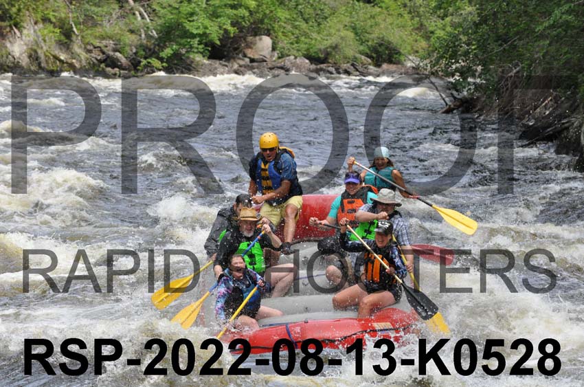 RSP-2022-08-13-K0528