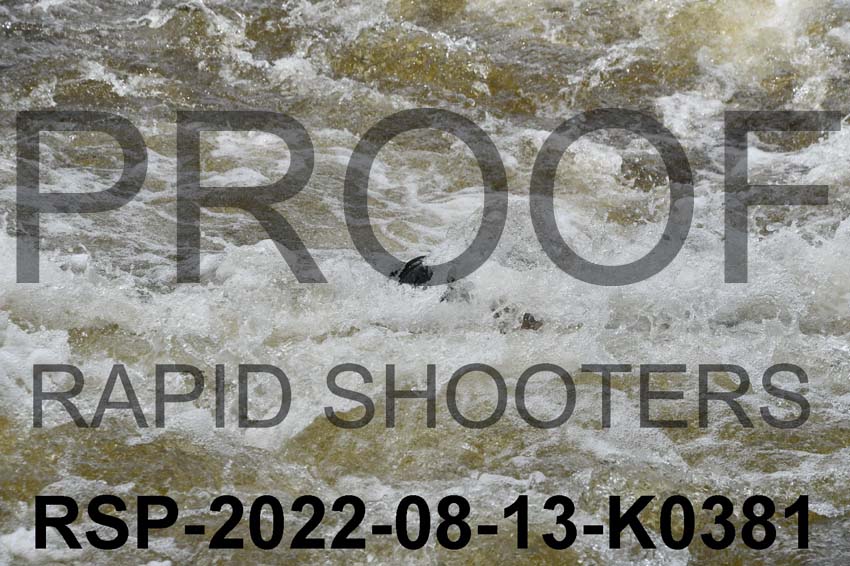 RSP-2022-08-13-K0381