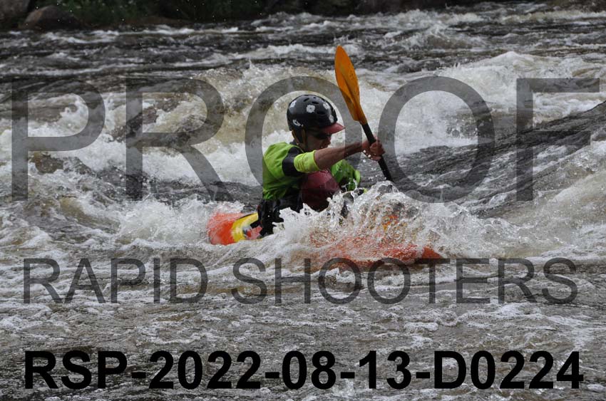 RSP-2022-08-13-D0224
