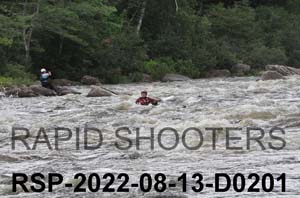 RSP-2022-08-13-D0201