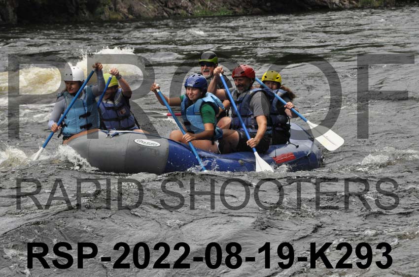 RSP-2022-08-19-K293