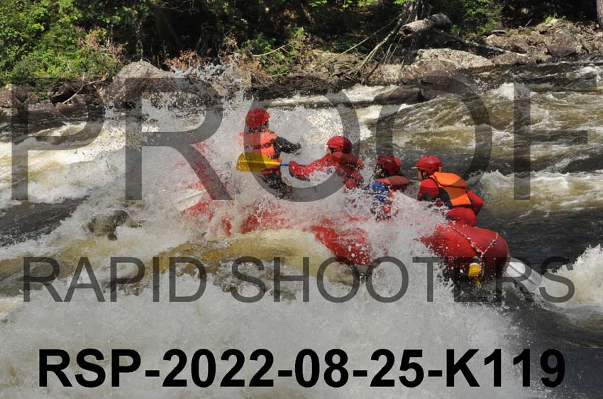 RSP-2022-08-25-K119