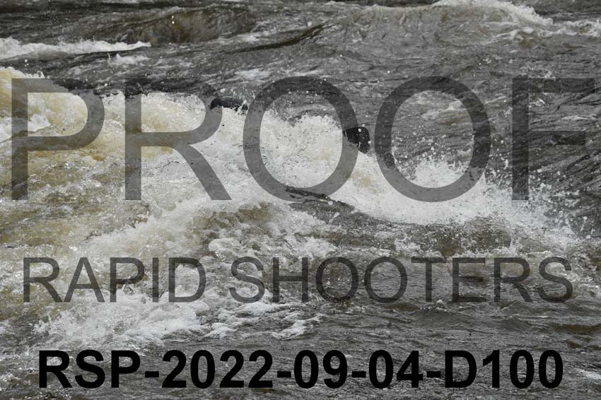 RSP-2022-09-04-D100
