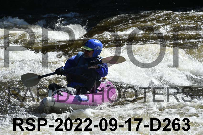 RSP-2022-09-17-D263