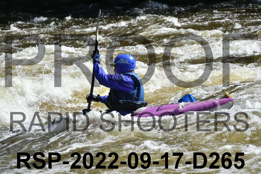 RSP-2022-09-17-D265