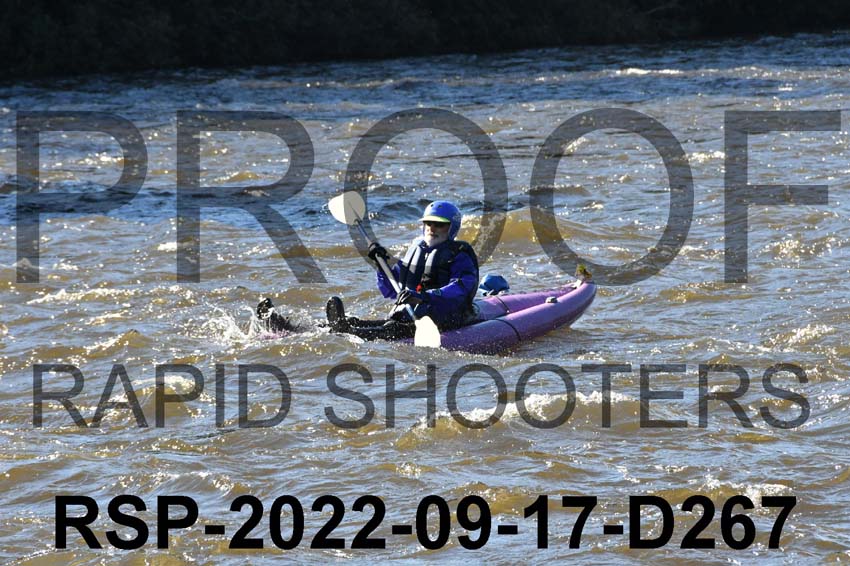 RSP-2022-09-17-D267