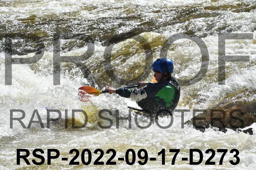 RSP-2022-09-17-D273
