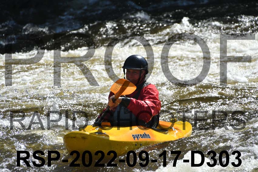 RSP-2022-09-17-D303