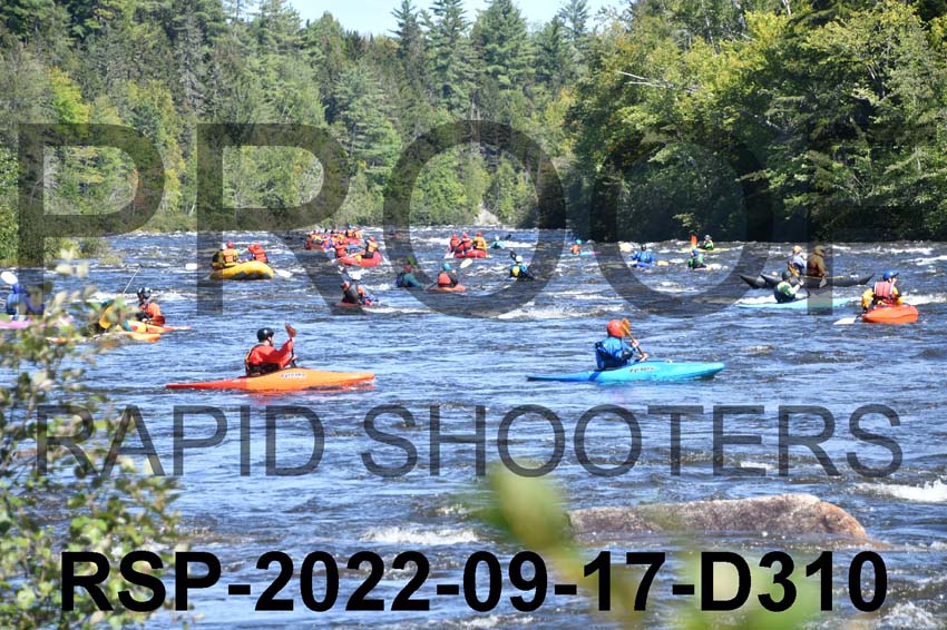 RSP-2022-09-17-D310