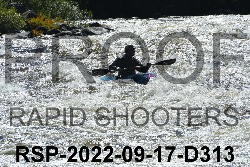RSP-2022-09-17-D313