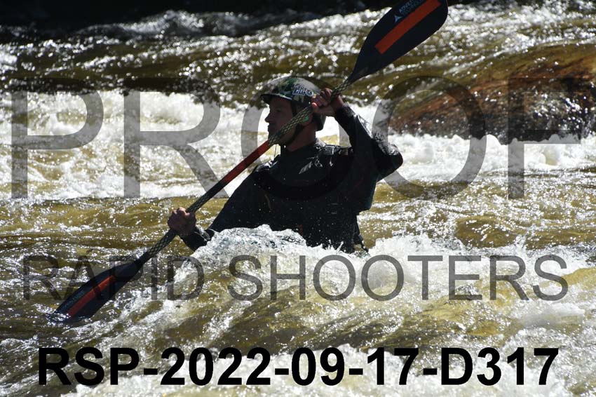 RSP-2022-09-17-D317