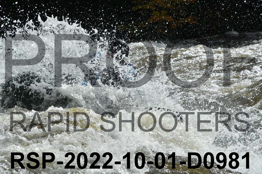 RSP-2022-10-01-D0981