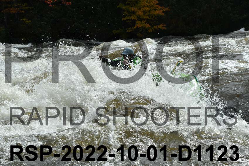 RSP-2022-10-01-D1123