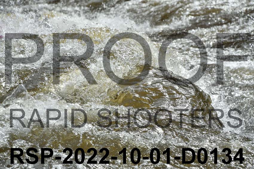 RSP-2022-10-01-D0134