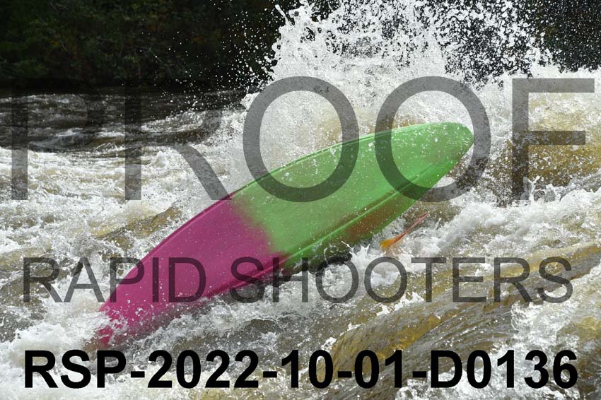 RSP-2022-10-01-D0136