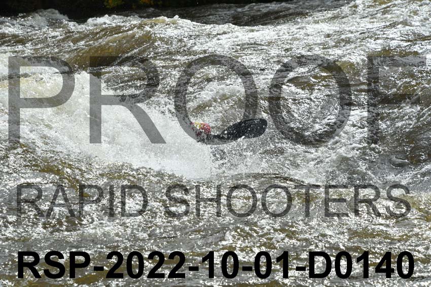 RSP-2022-10-01-D0140