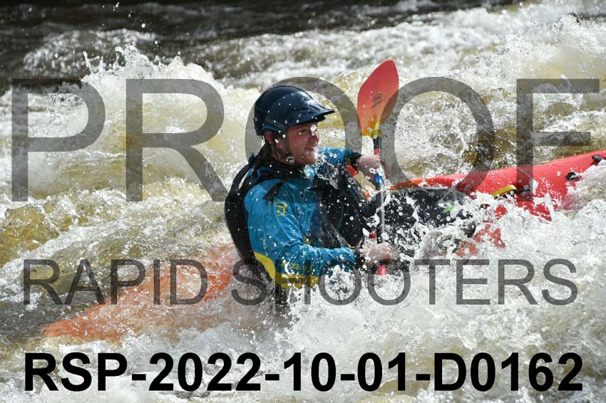 RSP-2022-10-01-D0162