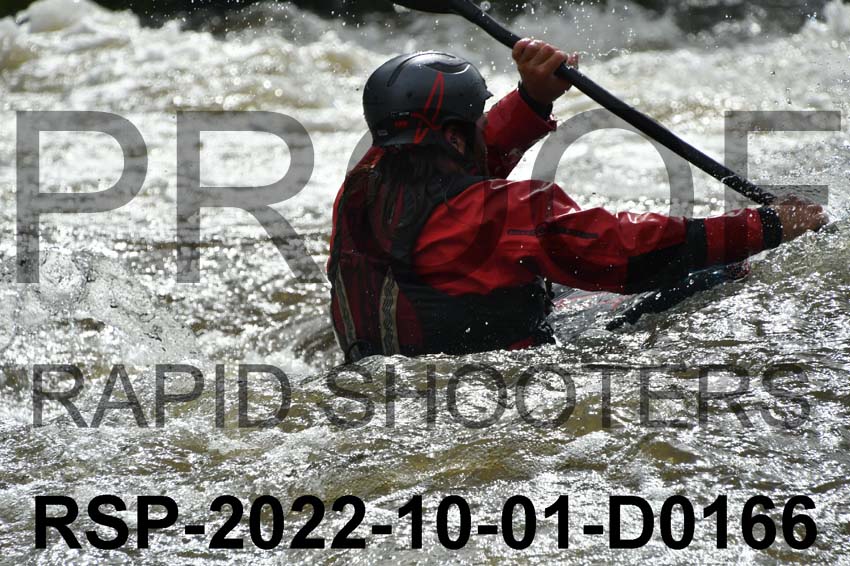 RSP-2022-10-01-D0166