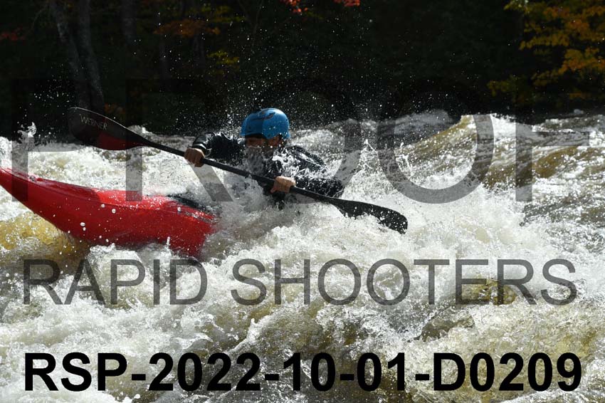 RSP-2022-10-01-D0209