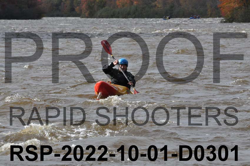 RSP-2022-10-01-D0301