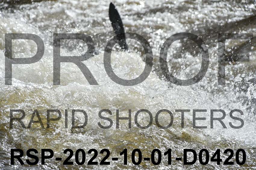 RSP-2022-10-01-D0420